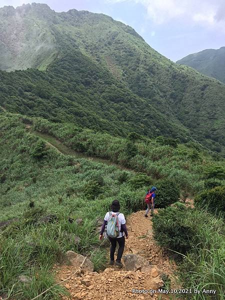 無耳茶壺山步道31