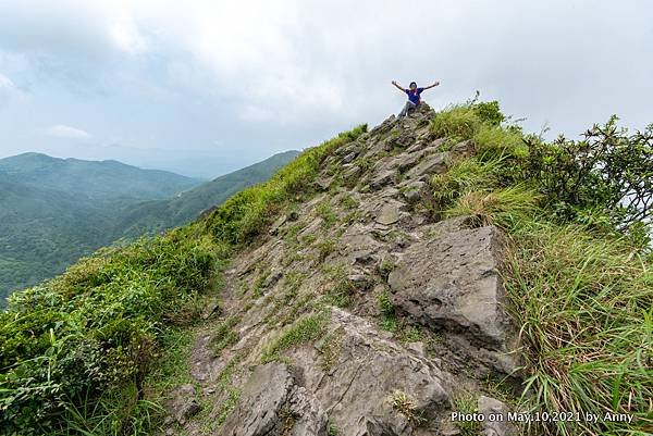 無耳茶壺山步道 半屏山步道10