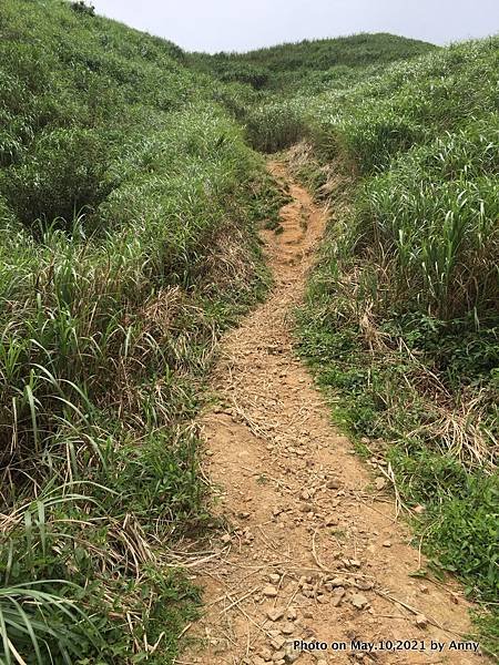 燦光寮山步道37