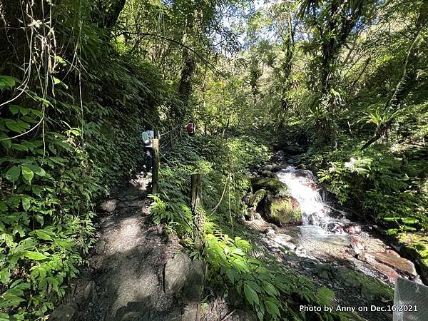 聖母登山步道 三角崙登山步道 抹茶山步道21.JPG