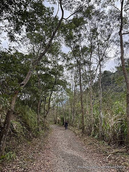 苗栗虎山步道7.jpg