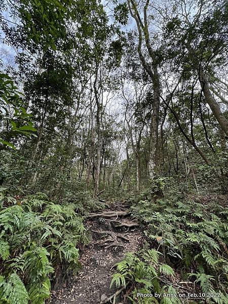 苗栗虎山步道14.jpg