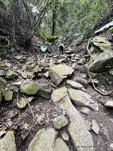 苗栗虎山步道31.jpg