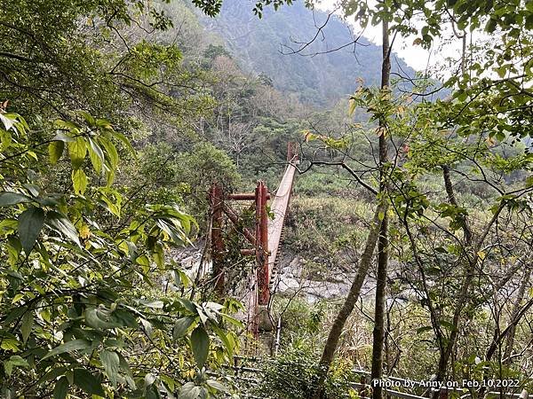 苗栗虎山步道 水雲吊橋40