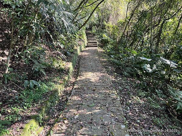 土庫岳步道 更寮古道9.JPG