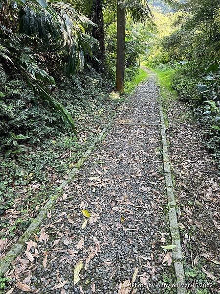 土庫岳步道 更寮古道12.JPG