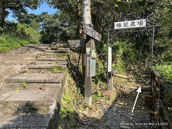 土庫岳步道 更寮古道16.JPG