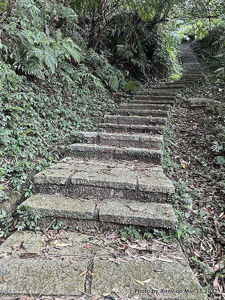 土庫岳步道 更寮古道22.JPG