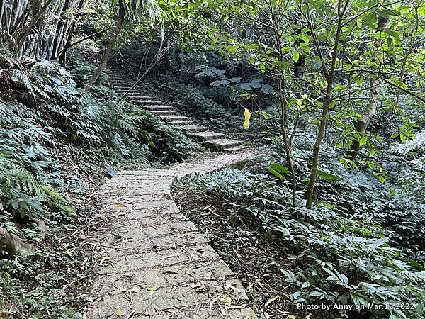 土庫岳步道 更寮古道21.JPG