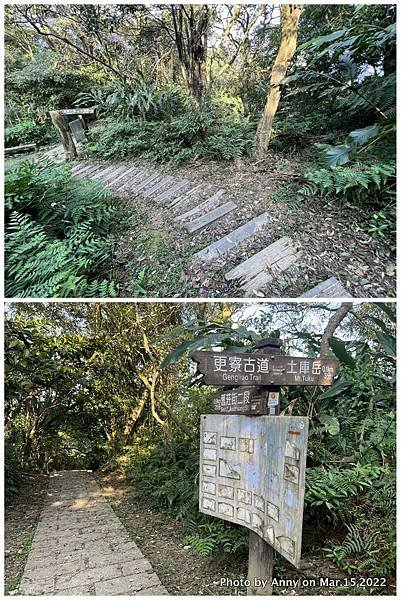 土庫岳步道 更寮古道4.JPG