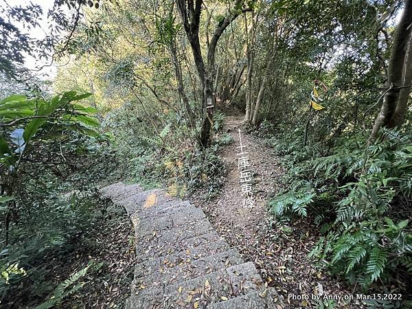 土庫岳步道 更寮古道40.JPG