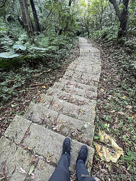 土庫岳步道 更寮古道43.JPG