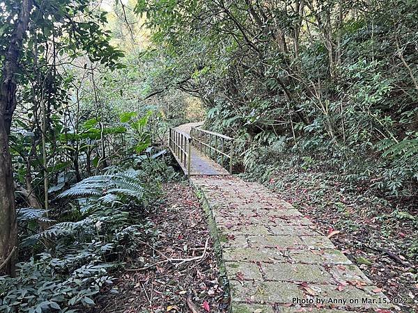 土庫岳步道 更寮古道46.JPG