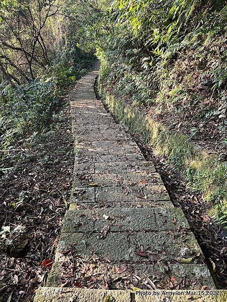 土庫岳步道 更寮古道52.JPG