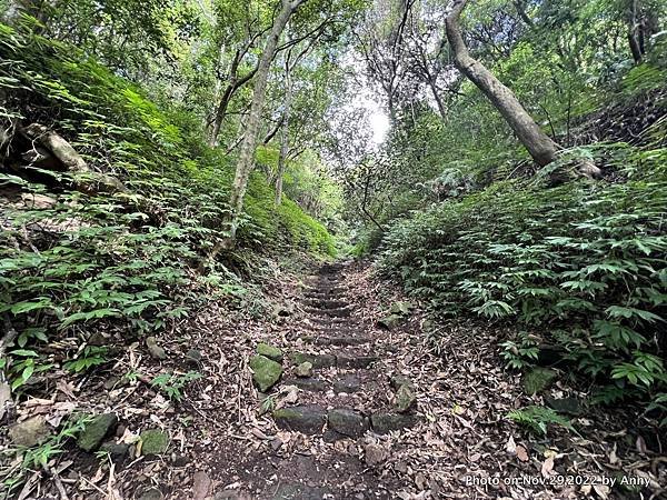 紗帽山登山步道5.JPG