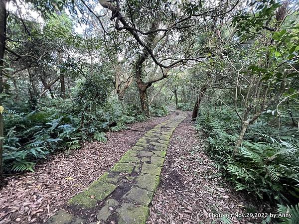 紗帽山登山步道17.JPG