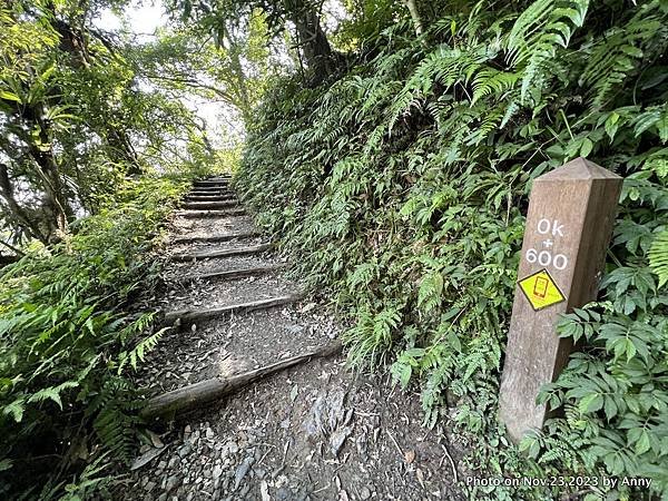 聖母登山步道 宜蘭抹茶山步道22.JPG