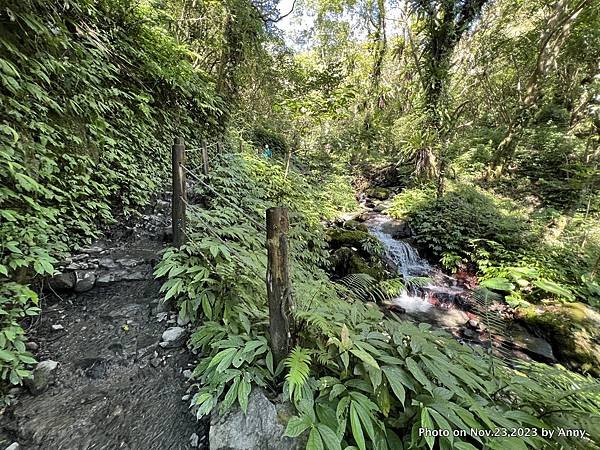 聖母登山步道 宜蘭抹茶山步道20.JPG