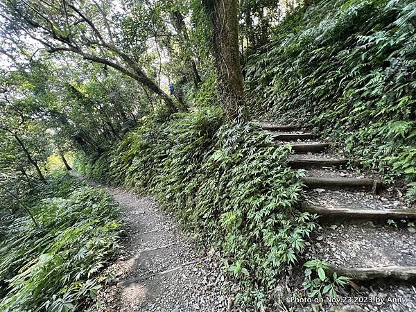 聖母登山步道 宜蘭抹茶山步道21.JPG