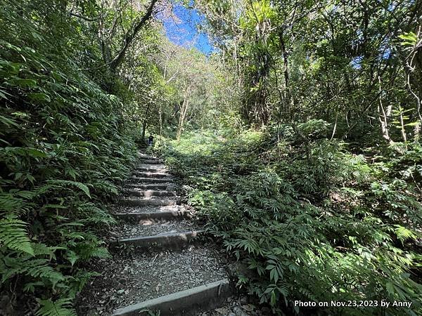 聖母登山步道 宜蘭抹茶山步道24.JPG