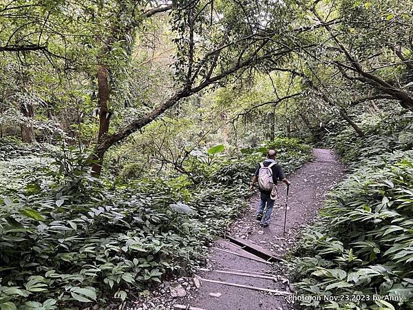 聖母登山步道 宜蘭抹茶山步道55.JPG