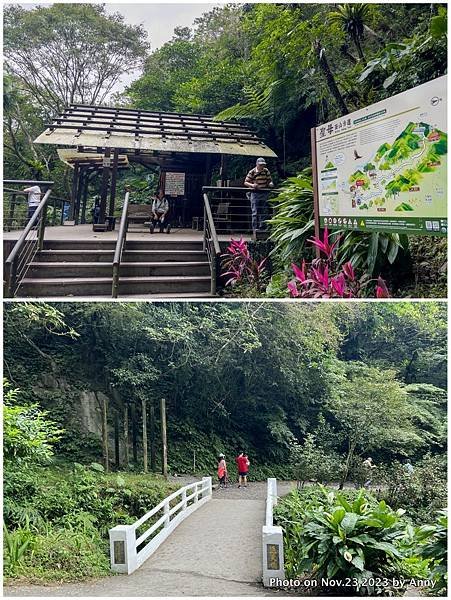 聖母登山步道 宜蘭抹茶山步道 通天橋6