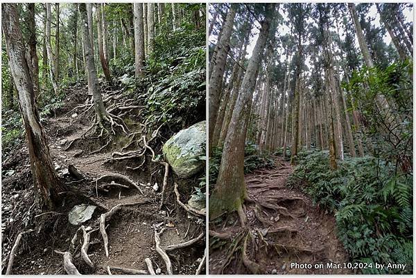 高島縱走2.JPG