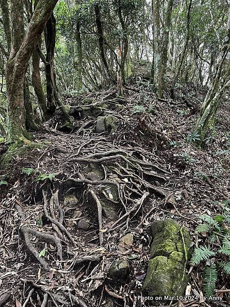 高島縱走54.JPG