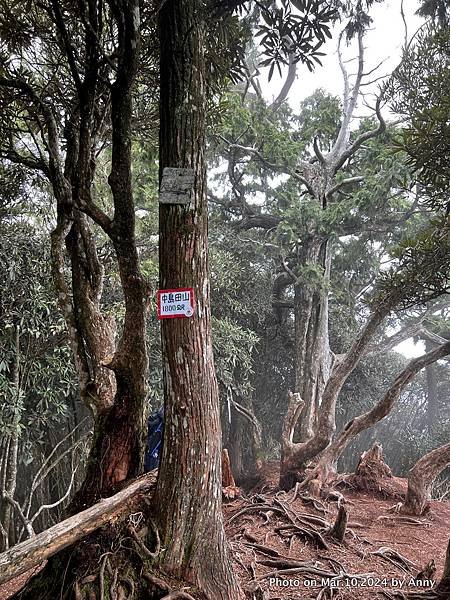 高島縱走 中島田山79