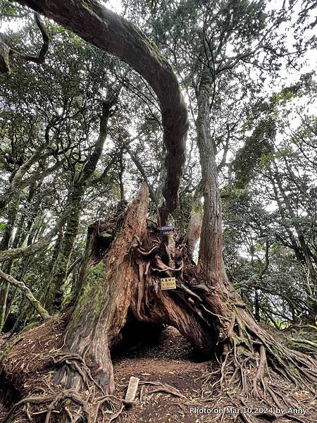 高島縱走 島田山89