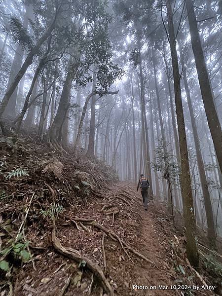 高島縱走108.JPG