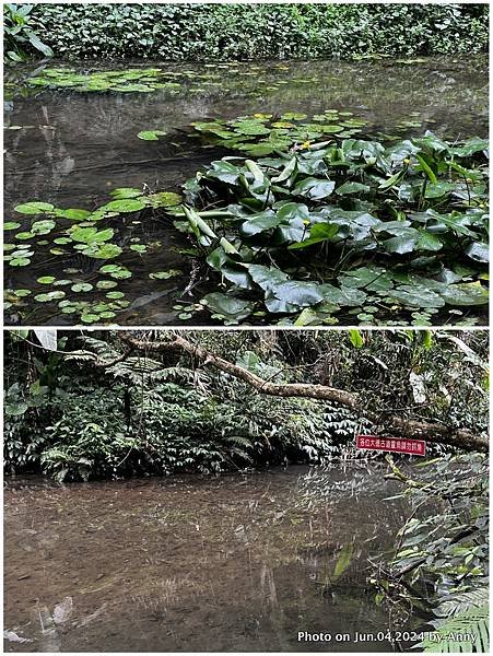 打鐵寮古道 6