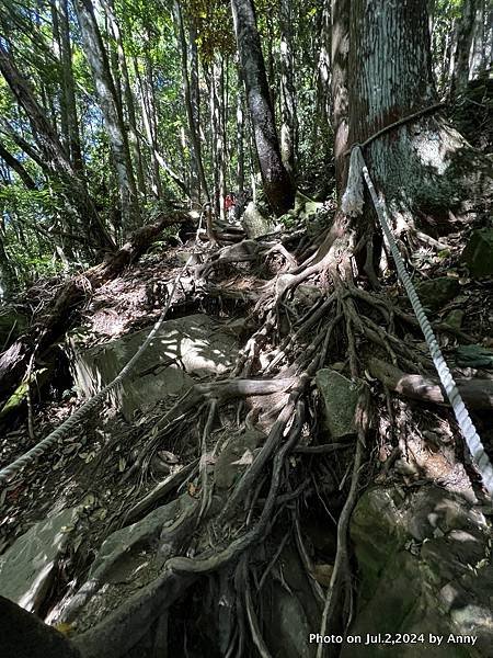 加里山登山步道31.jpg