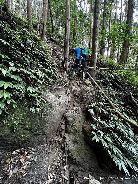 向天湖山環狀線(光天高山、向天湖山、三角湖山)44.jpg