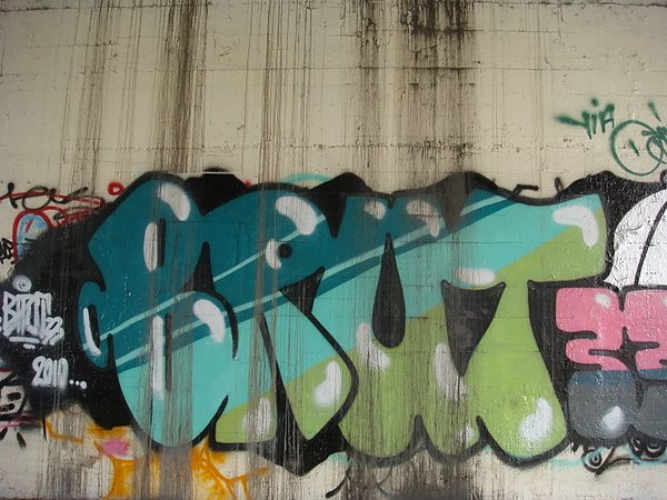 DSC02488.JPG