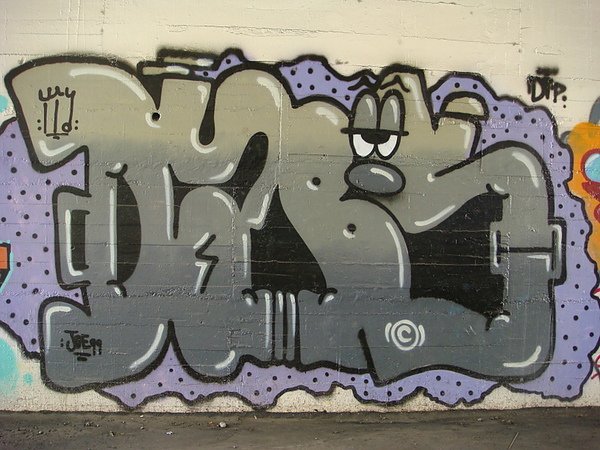 DSC02492.JPG