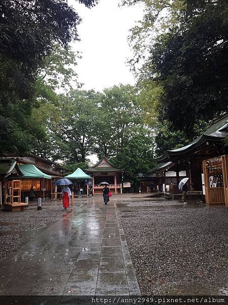 《日本東京》20180902 · 第五天 氷川神社鯛魚御神籤