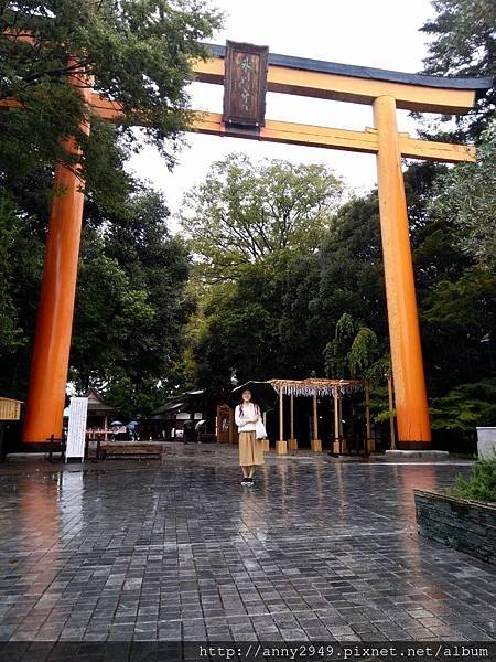 《日本東京》20180902 · 第五天 氷川神社鯛魚御神籤