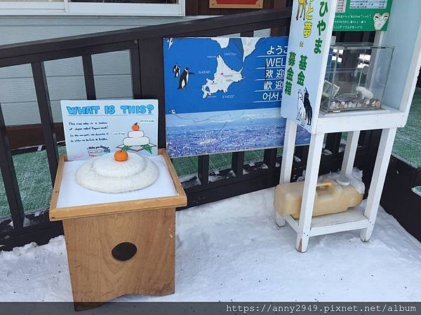 《日本北海道》20190115 · 第四天 旭山動物園。北極