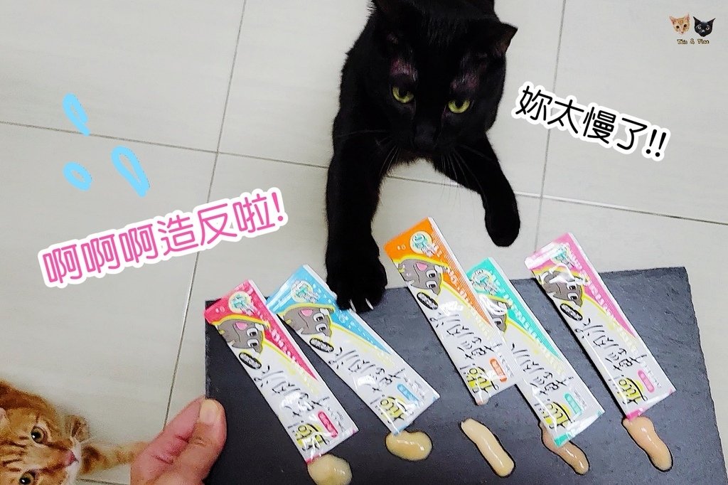 20220309 怪獸部落輕肉泥