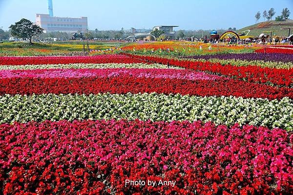 花毯節66.jpg
