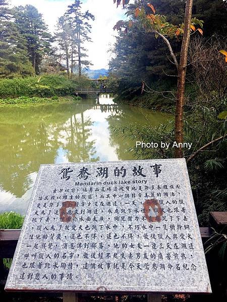 福壽山13