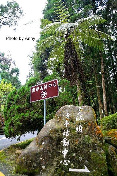 溪頭39.jpg