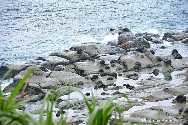 和平島39.jpg