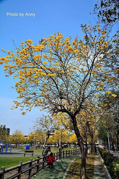 廍子公園10.jpg