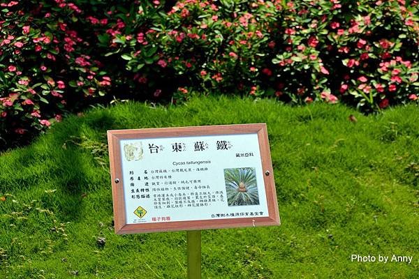 萬28-1.jpg