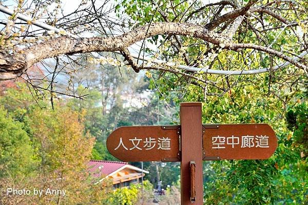 梅山70.jpg
