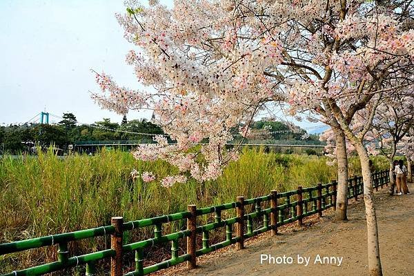 竹崎公園15.jpg