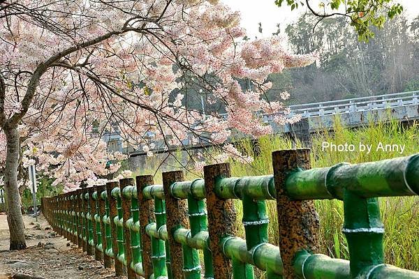竹崎公園22.jpg