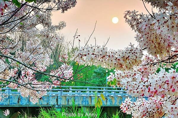 竹崎公園72.jpg